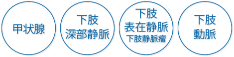 甲状腺・下肢深部静脈・下肢表在静脈・下肢動脈